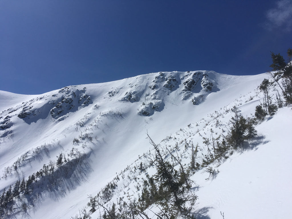 Pelle à neige avec bord en acier Alpine