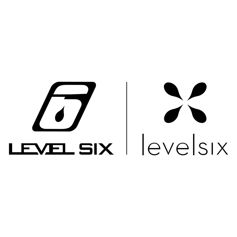 LEVEL SIX