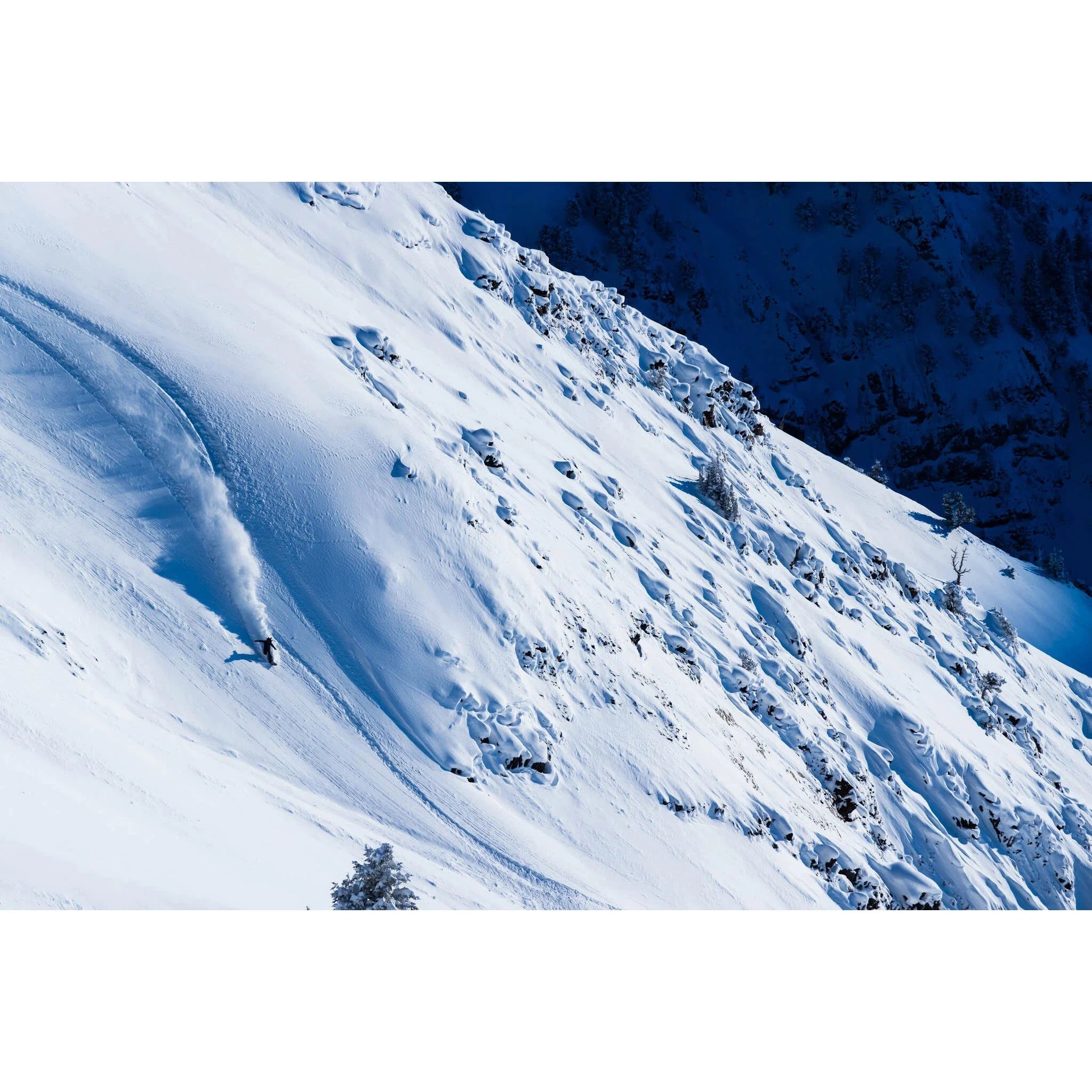 Cardiff Snowcraft Goat - Splitboard | Caroune Ski Shop