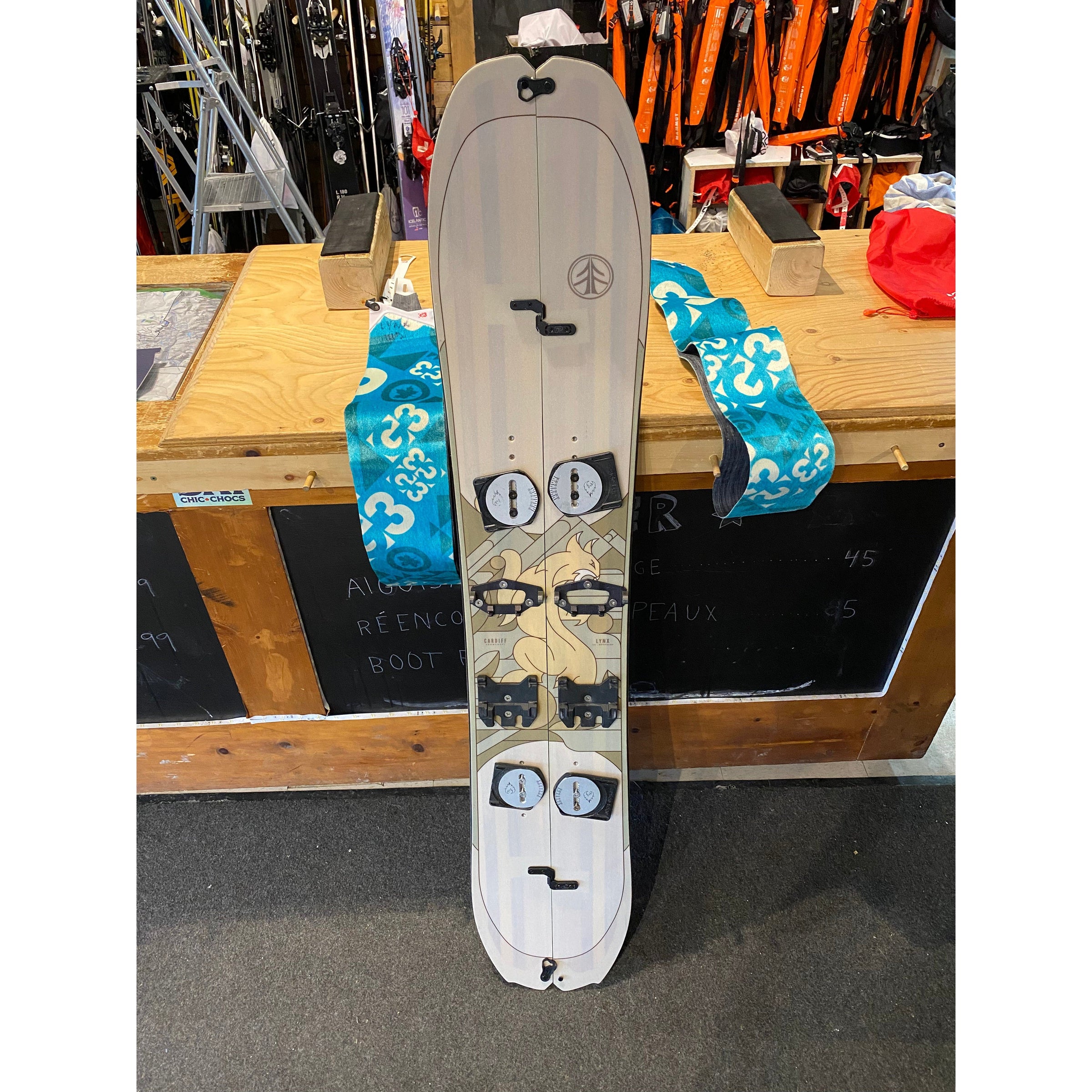 Rental splitboards | Caroune Ski Shop